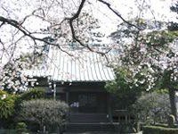 不老山　壽松院 無量寺